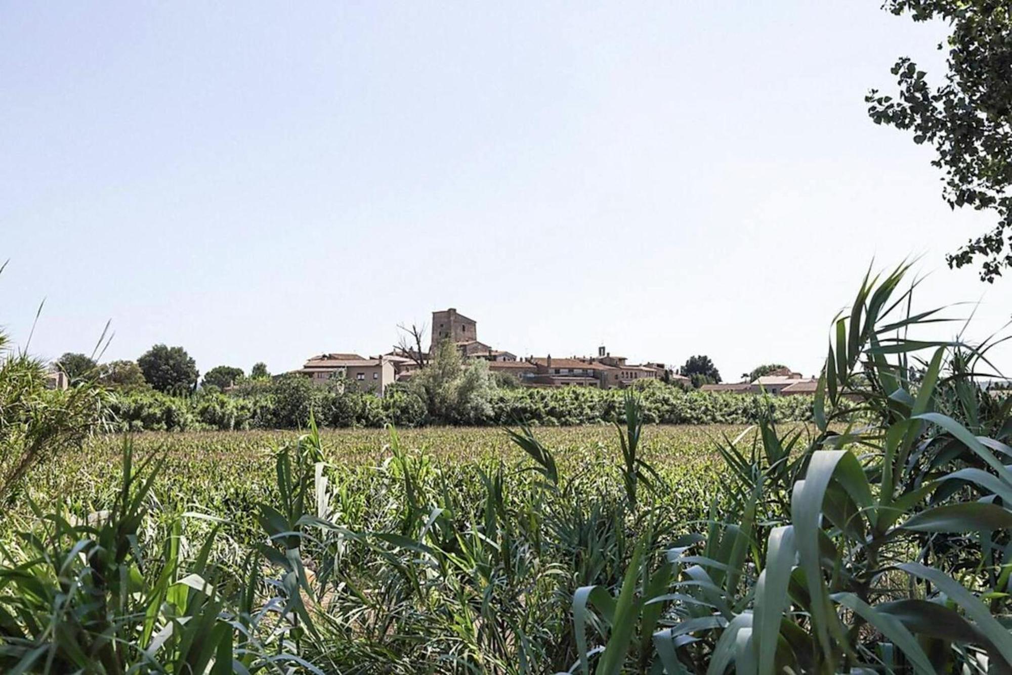 Enchanting Medieval Castle In Palau Sator With Private Pool Villa Exterior photo